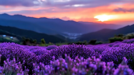 Scenic view of Valley of Flowers with vibrant wildflowers and Himalayan mountains, counted among uttarakhand best places